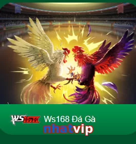 nhatvip